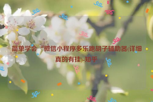 简单学会“微信小程序多乐跑胡子辅助器(详细真的有挂)-知乎