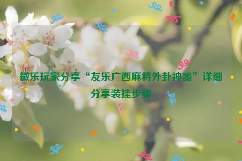 微乐玩家分享“友乐广西麻将外卦神器”详细分享装挂步骤