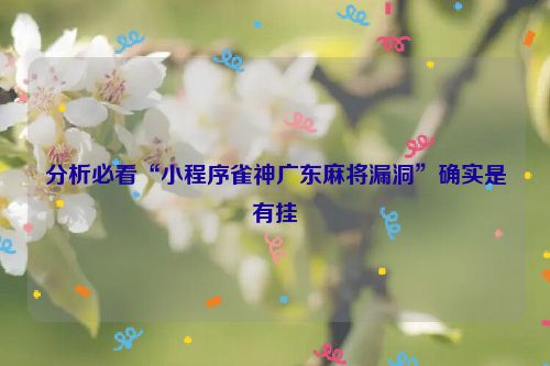 分析必看“小程序雀神广东麻将漏洞”确实是有挂