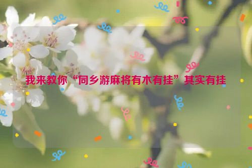 我来教你“同乡游麻将有木有挂”其实有挂
