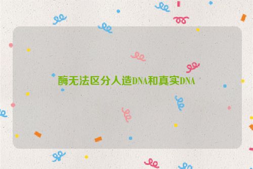 酶无法区分人造DNA和真实DNA