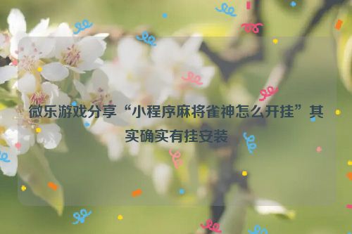 微乐游戏分享“小程序麻将雀神怎么开挂”其实确实有挂安装