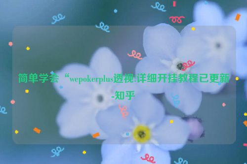 简单学会“wepokerplus透视!详细开挂教程已更新-知乎