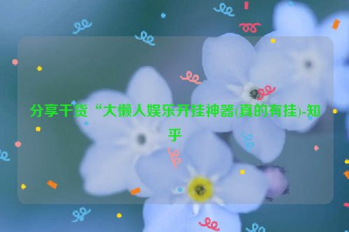 分享干货“大懒人娱乐开挂神器(真的有挂)-知乎