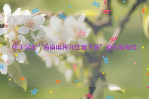 终于呈现”海南麻将开挂器下载”确实是有挂