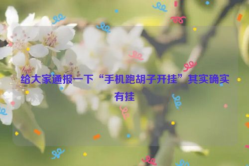给大家通报一下“手机跑胡子开挂”其实确实有挂