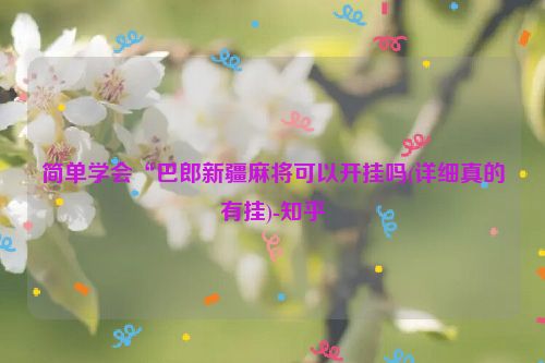 简单学会“巴郎新疆麻将可以开挂吗(详细真的有挂)-知乎