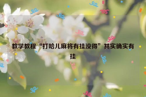 教学教程“打哈儿麻将有挂没得”其实确实有挂