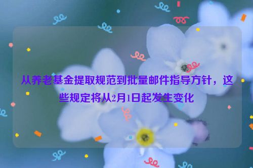 从养老基金提取规范到批量邮件指导方针，这些规定将从2月1日起发生变化
