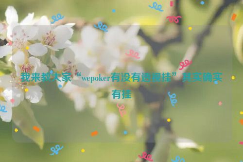 我来教大家“wepoker有没有透视挂”其实确实有挂