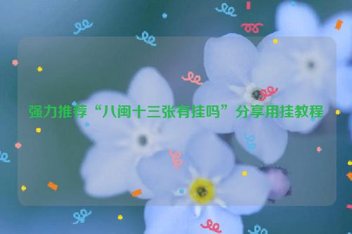 强力推荐“八闽十三张有挂吗”分享用挂教程