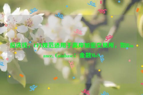 反洗钱，CFT规范适用于离岸加密交易所，如Binance, Coinbase：金融MoS