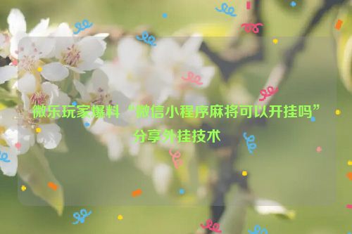 微乐玩家爆料“微信小程序麻将可以开挂吗”分享外挂技术