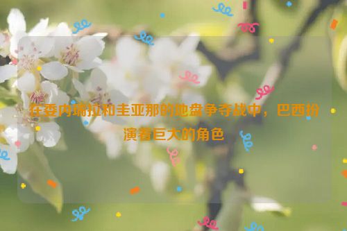 在委内瑞拉和圭亚那的地盘争夺战中，巴西扮演着巨大的角色