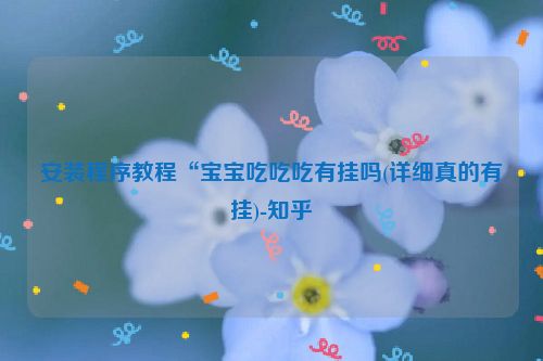 安装程序教程“宝宝吃吃吃有挂吗(详细真的有挂)-知乎