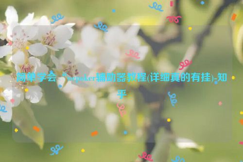 简单学会“wepoker辅助器教程(详细真的有挂)-知乎