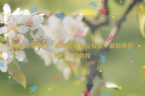 微乐玩家爆料“湘味游戏有没有挂”最新麻将开挂详细教程