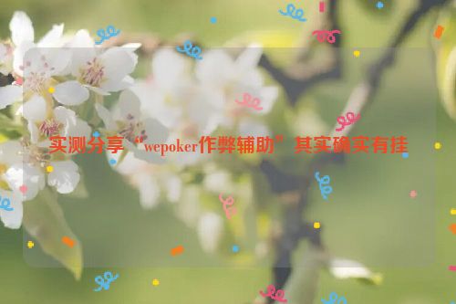 实测分享“wepoker作弊辅助”其实确实有挂