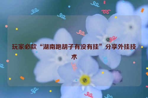 玩家必款“湖南跑胡子有没有挂”分享外挂技术