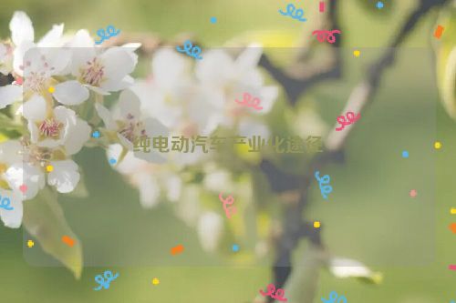 纯电动汽车产业化途径