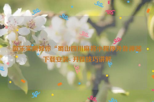 微乐实测教你“蜀山四川麻将小程序外卦神器下载安装- 开挂技巧讲解