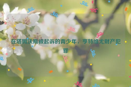 在塔姆沃斯被起诉的青少年，亨特维尤财产犯罪