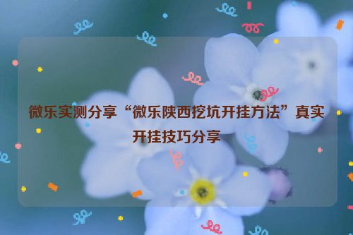 微乐实测分享“微乐陕西挖坑开挂方法”真实开挂技巧分享
