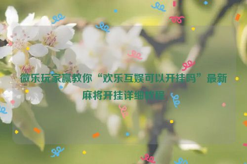 微乐玩家赢教你“欢乐互娱可以开挂吗”最新麻将开挂详细教程