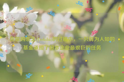 在收购东芝(Toshiba)的过程中，一只鲜为人知的基金承担了日本企业最艰巨的任务