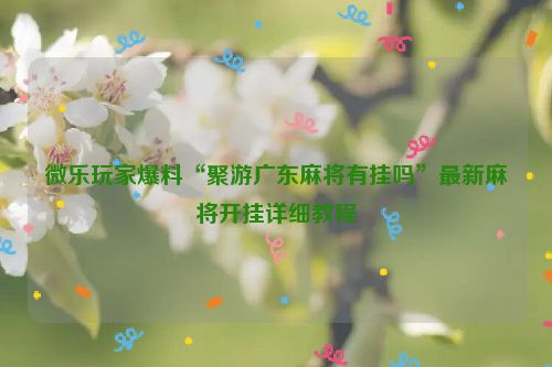 微乐玩家爆料“聚游广东麻将有挂吗”最新麻将开挂详细教程