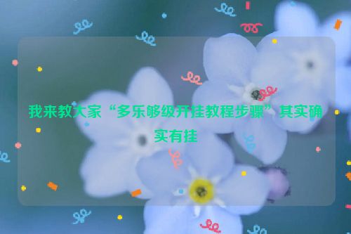 我来教大家“多乐够级开挂教程步骤”其实确实有挂