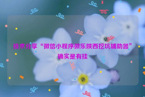 技术分享“微信小程序微乐陕西挖坑辅助器”确实是有挂