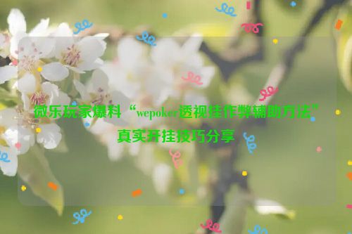 微乐玩家爆料“wepoker透视挂作弊辅助方法”真实开挂技巧分享