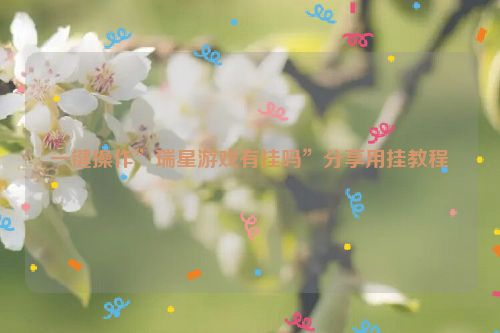 一键操作”瑞星游戏有挂吗”分享用挂教程