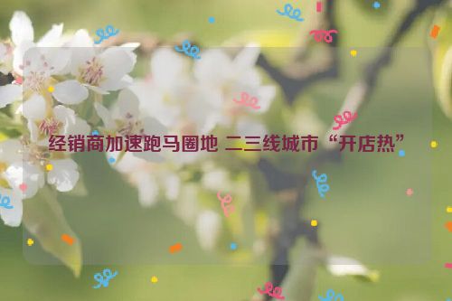 经销商加速跑马圈地 二三线城市“开店热”