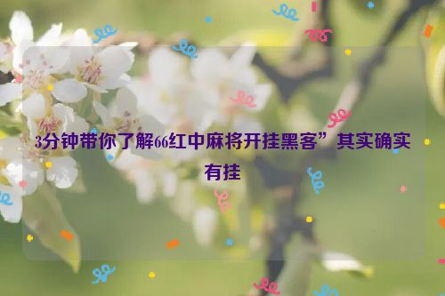 3分钟带你了解66红中麻将开挂黑客”其实确实有挂
