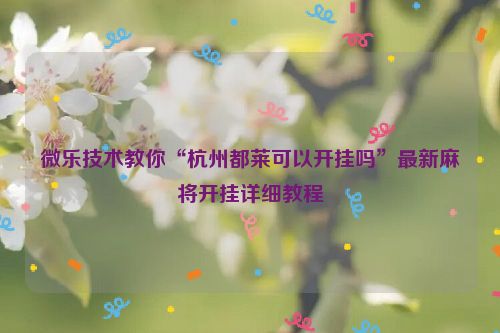 微乐技术教你“杭州都莱可以开挂吗”最新麻将开挂详细教程