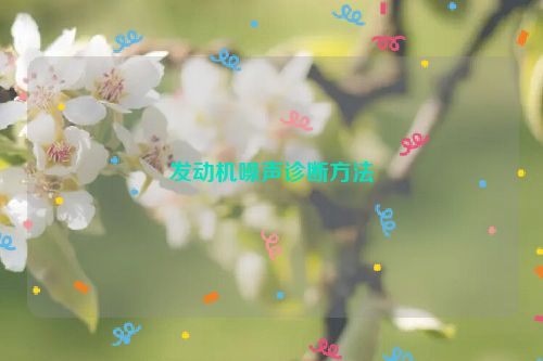 发动机噪声诊断方法