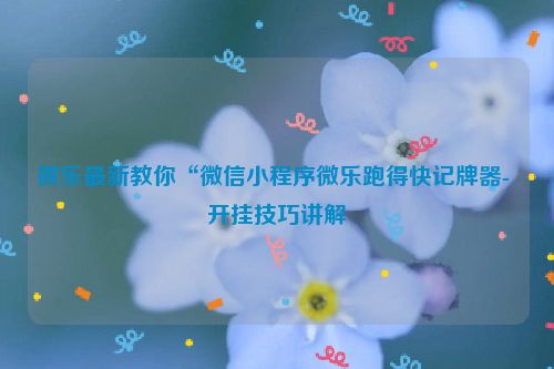 微乐最新教你“微信小程序微乐跑得快记牌器- 开挂技巧讲解