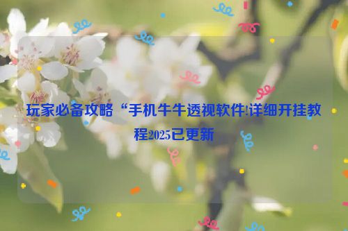 玩家必备攻略“手机牛牛透视软件!详细开挂教程2025已更新
