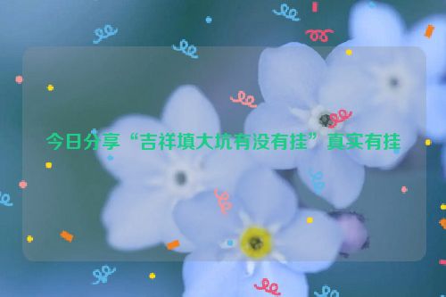 今日分享“吉祥填大坑有没有挂”真实有挂