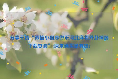 分享干货“微信小程序微乐河北麻将外卦神器下载安装”(原来确实是有挂)