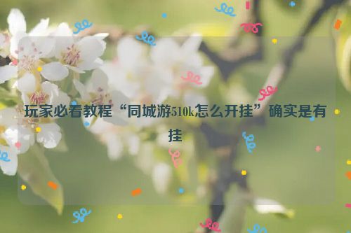 玩家必看教程“同城游510k怎么开挂”确实是有挂