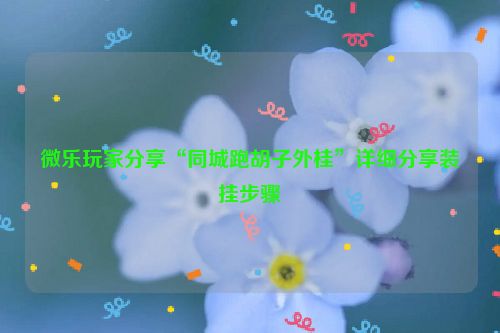 微乐玩家分享“同城跑胡子外桂”详细分享装挂步骤