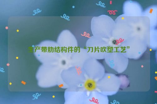 生产带肋结构件的“刀片吹塑工艺”
