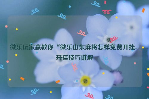 微乐玩家赢教你“微乐山东麻将怎样免费开挂- 开挂技巧讲解