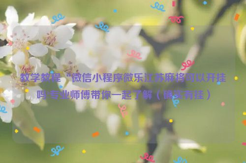 教学教程“微信小程序微乐江苏麻将可以开挂吗!专业师傅带你一起了解（确实有挂）