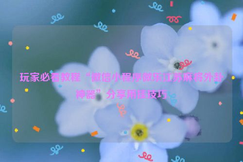 玩家必看教程“微信小程序微乐江苏麻将外卦神器”分享用挂技巧