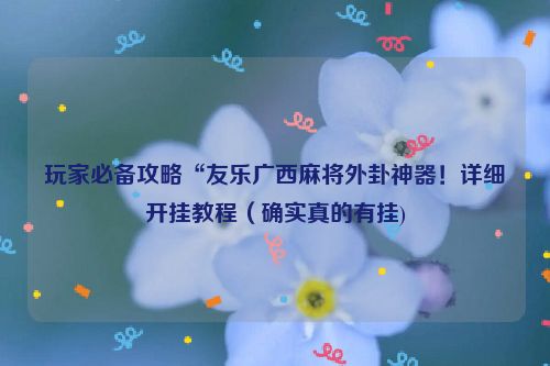 玩家必备攻略“友乐广西麻将外卦神器！详细开挂教程（确实真的有挂)