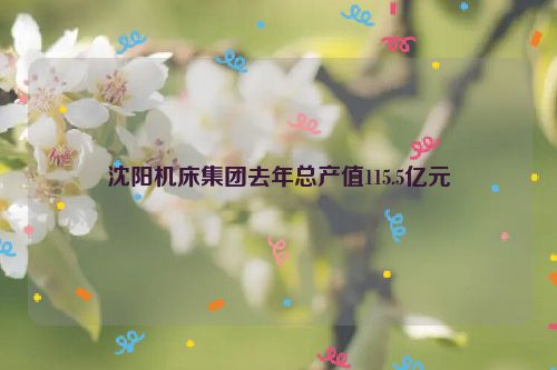 沈阳机床集团去年总产值115.5亿元